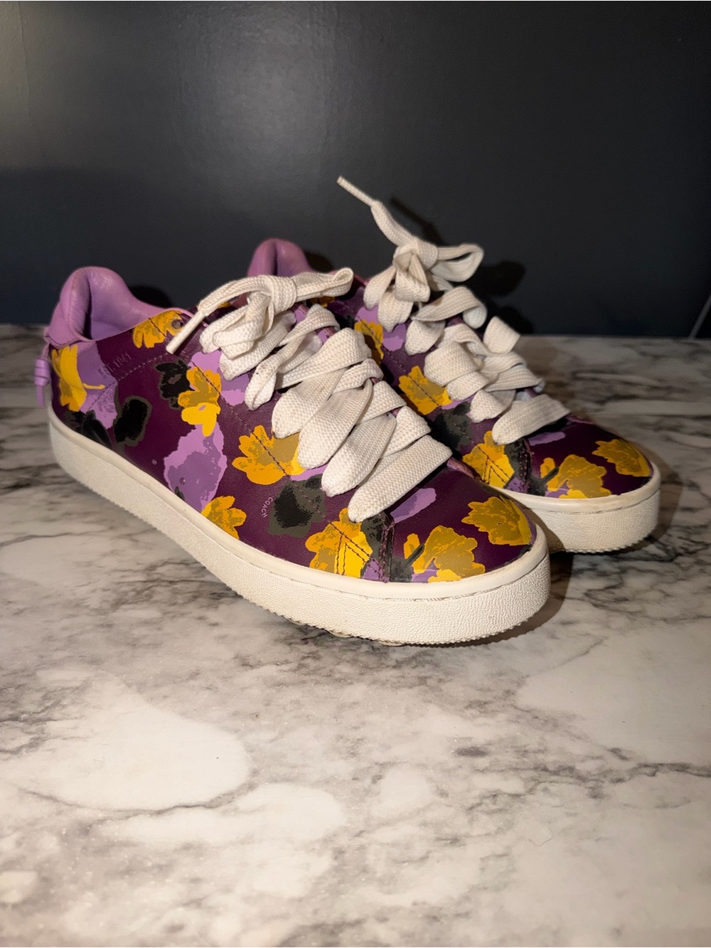 Coach low-top shoes